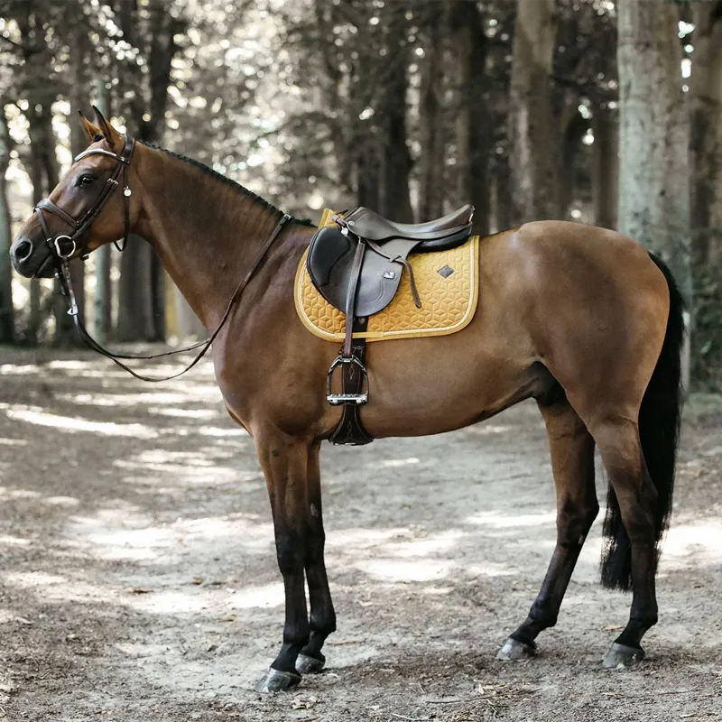 Kentucky Velvet Jumping Saddle Pad - Mustard-3
