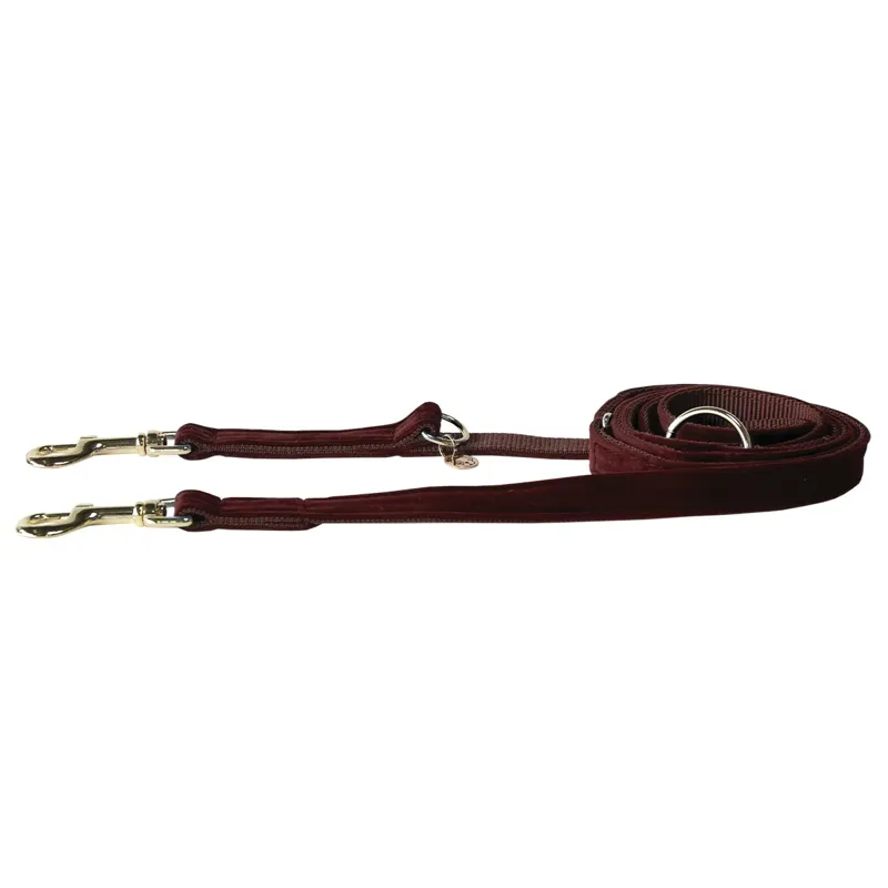 Kentucky Velvet Dog Leash - Bordeaux-1