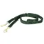 Kentucky Velvet Dog Leash - Pine Green
