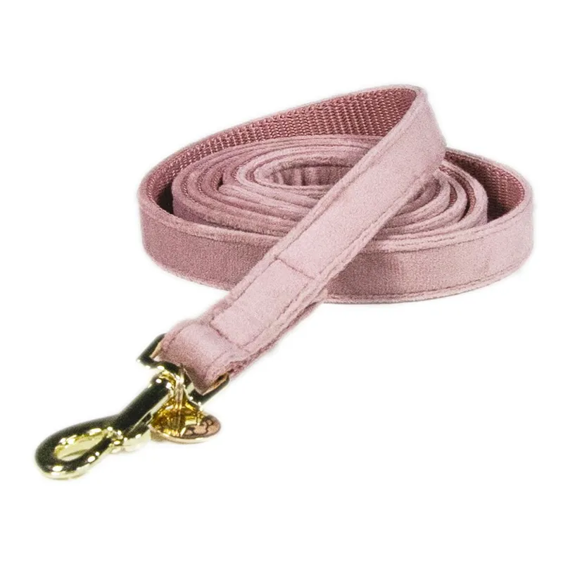 Kentucky Velvet Dog Leash - Old Rose-1