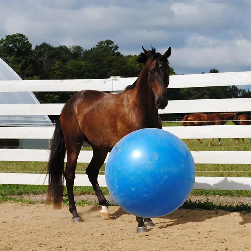 Horsemens Pride Jolly Mega Ball - Red/Blue/Green-1