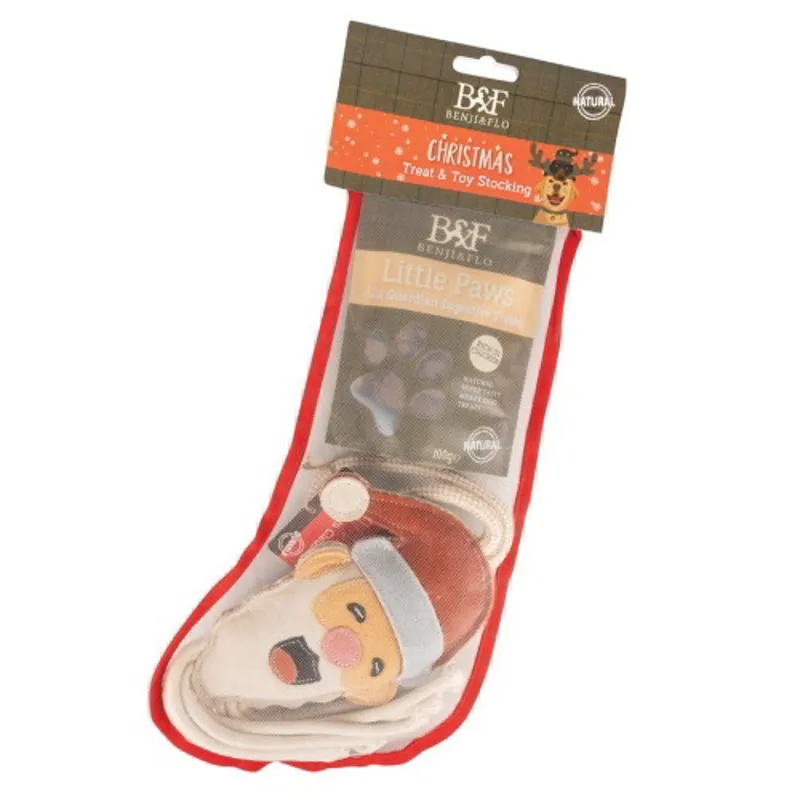 Benji and Flo Christmas Treat and Toy Stocking for Dogs