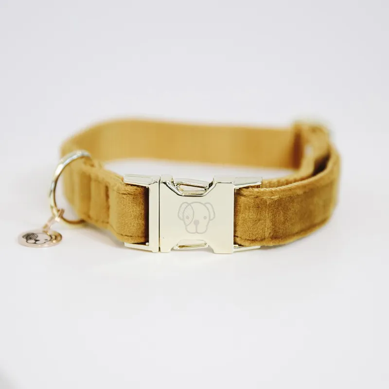 Kentucky Velvet Dog Collar - Mustard-2