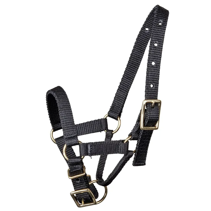 Waldhausen Alpaca Halter - Black