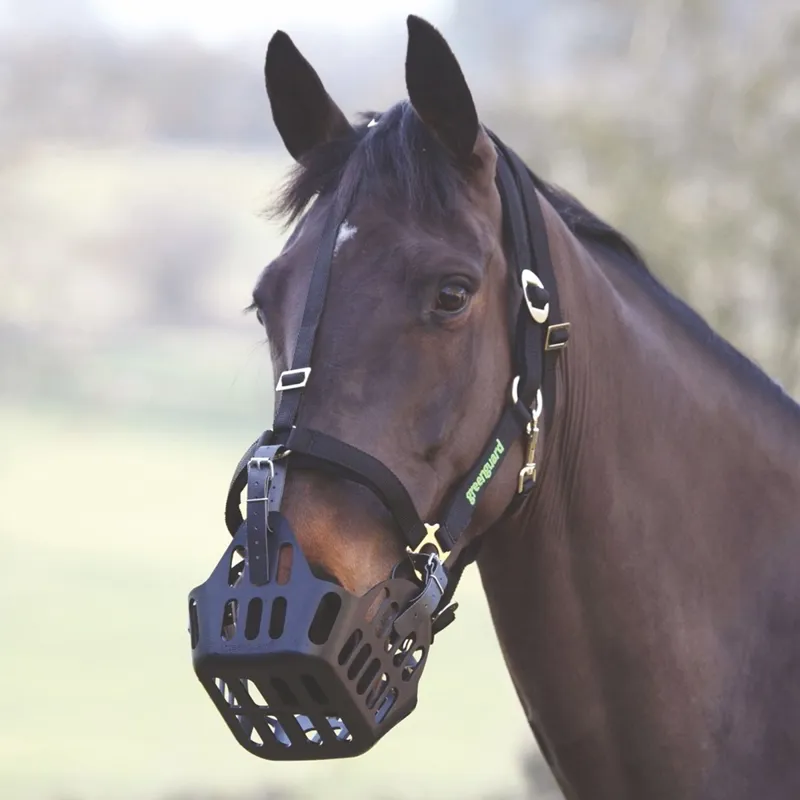 Shires Greenguard Halter - Black-1