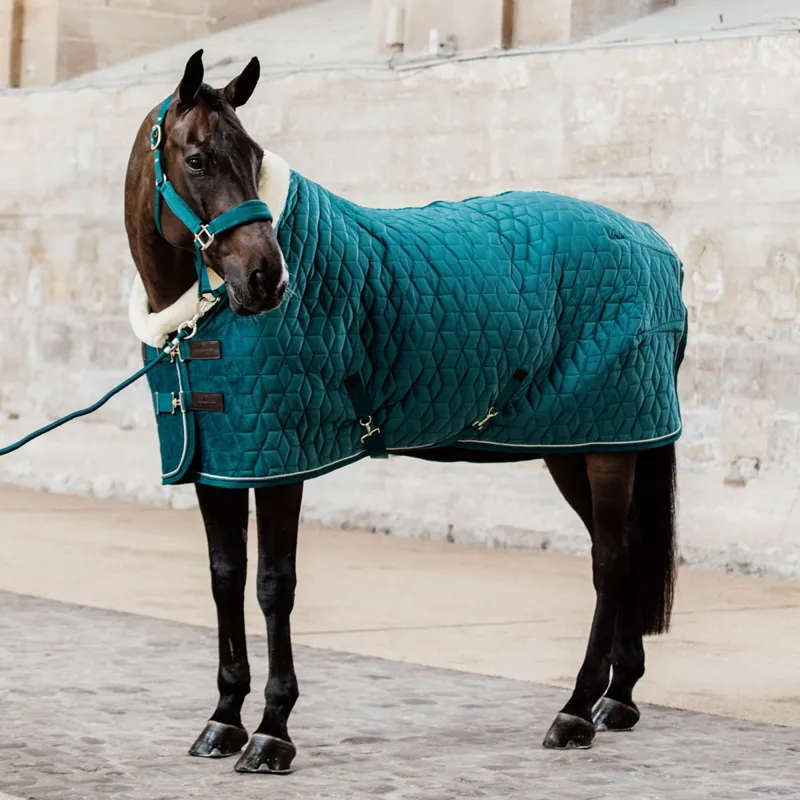 Kentucky Velvet Show Blanket - Emerald