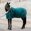 Kentucky Velvet Show Blanket - Emerald