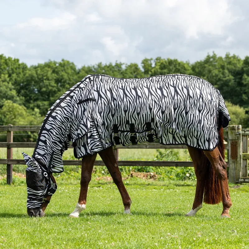 QHP Anti-Fly Sheet with Detachable Neck and Mask - Black-4