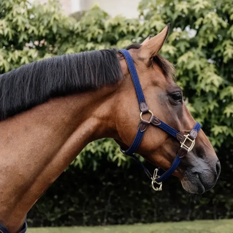 Kentucky Plaited Nylon Halter - Navy-2