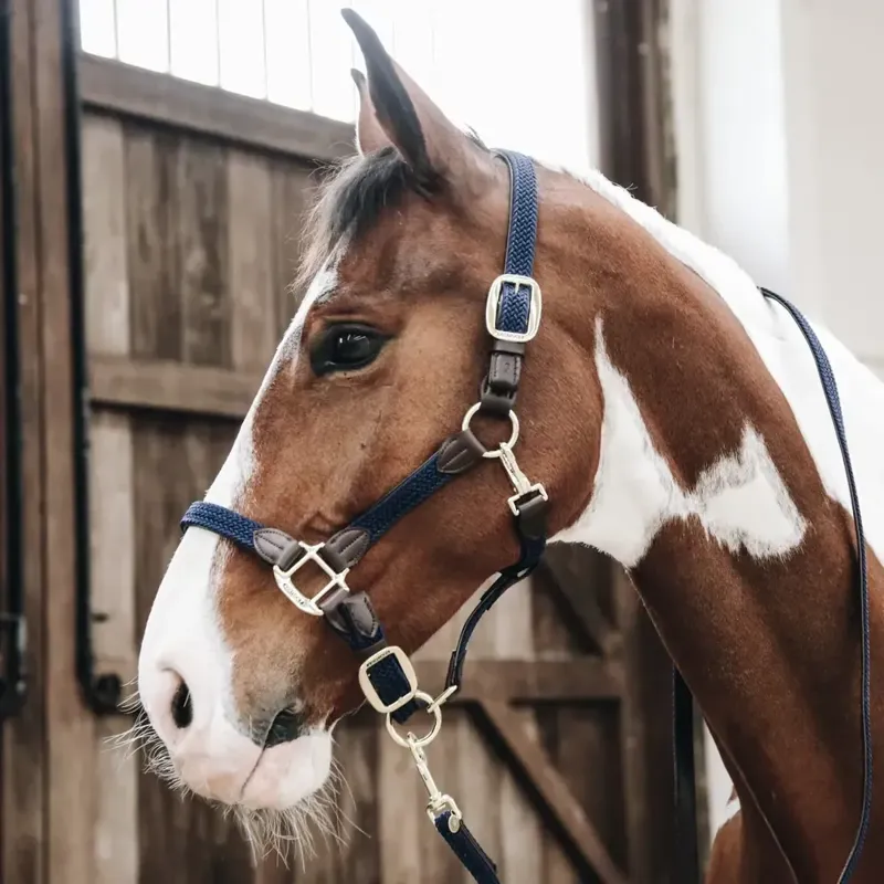 Kentucky Plaited Nylon Halter - Navy