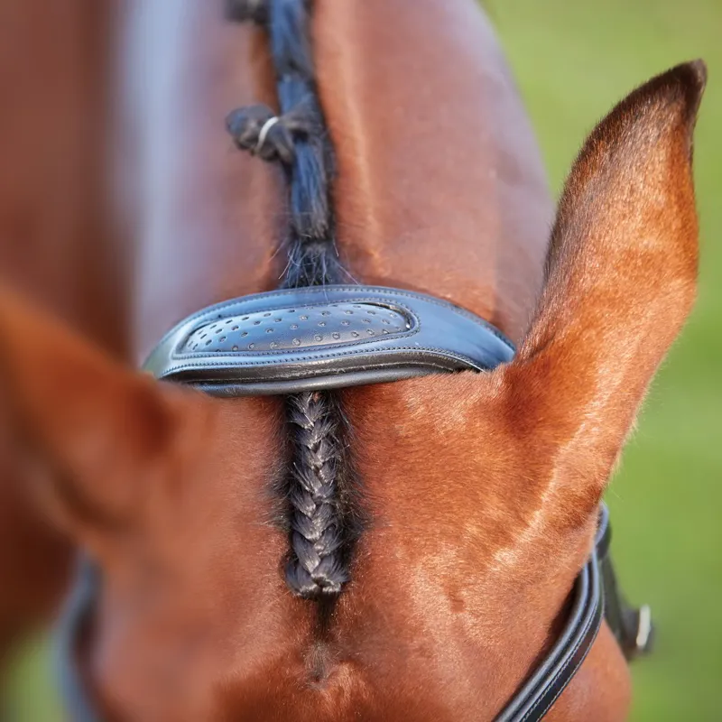 Collegiate ComFiTec Training Bridle - Black-3