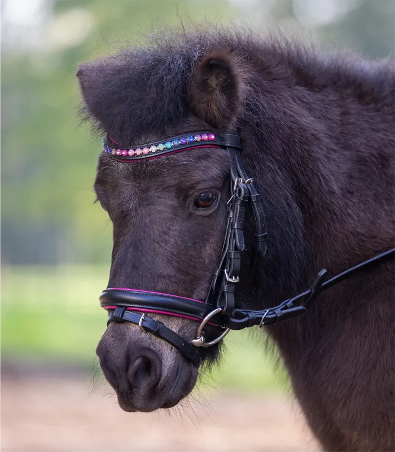 Waldhausen Pinky Star Flash Bridle with Reins Black