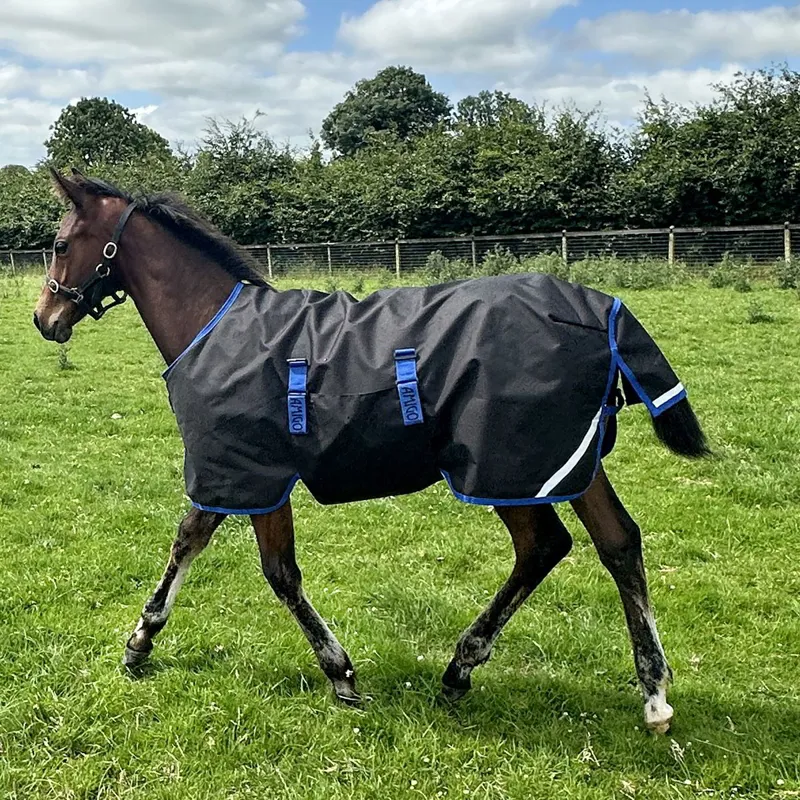 Amigo Ripstop 900D Foal 50g Turnout Blanket - Black/Classic Blue-4