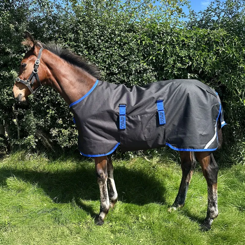 Amigo Ripstop 900D Foal 50g Turnout Blanket - Black/Classic Blue-1