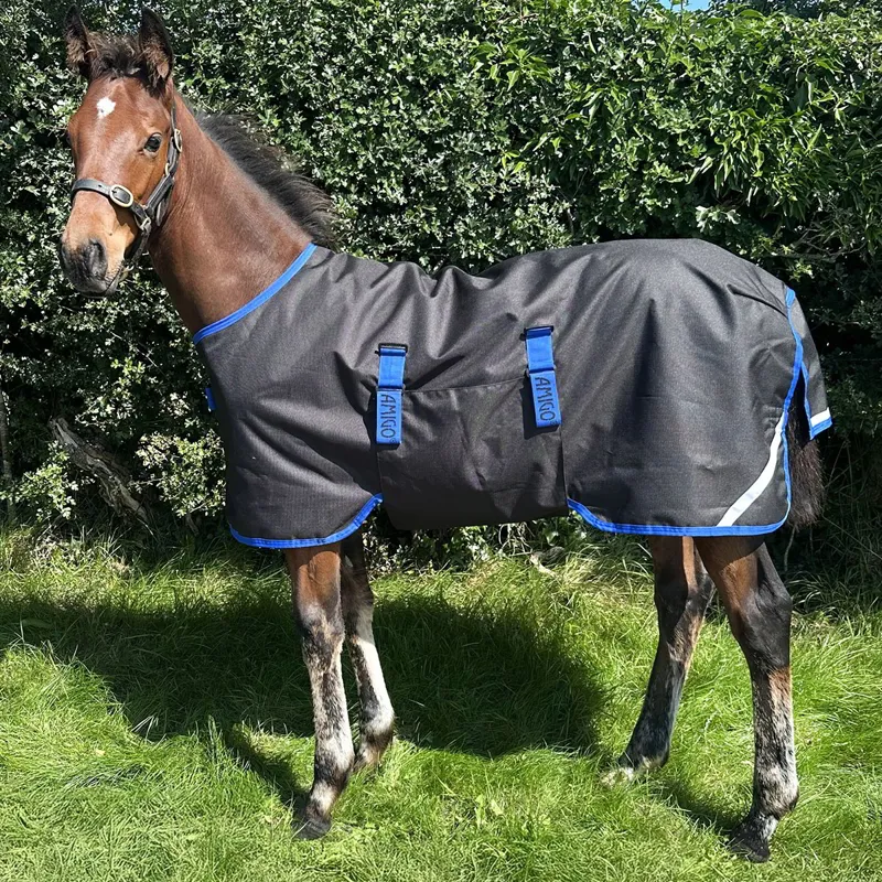Amigo Ripstop 900D Foal 50g Turnout Blanket - Black/Classic Blue