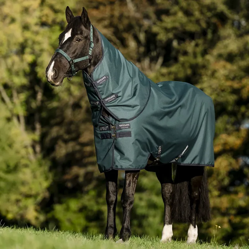 Amigo Ripstop 900D Plus 200g Detachable Neck Cover Turnout Blanket - Dynasty