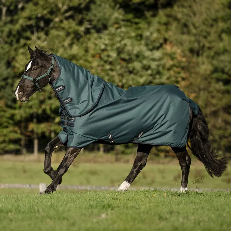 Amigo Ripstop 900D Plus 200g Detachable Neck Cover Turnout Blanket - Dynasty-1