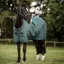 Amigo Ripstop 900D Standard Neck 50g Turnout Blanket - Dynasty Green