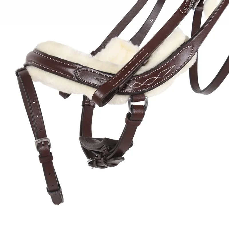 QHP Ontario Bridle with Reins - Brown-1