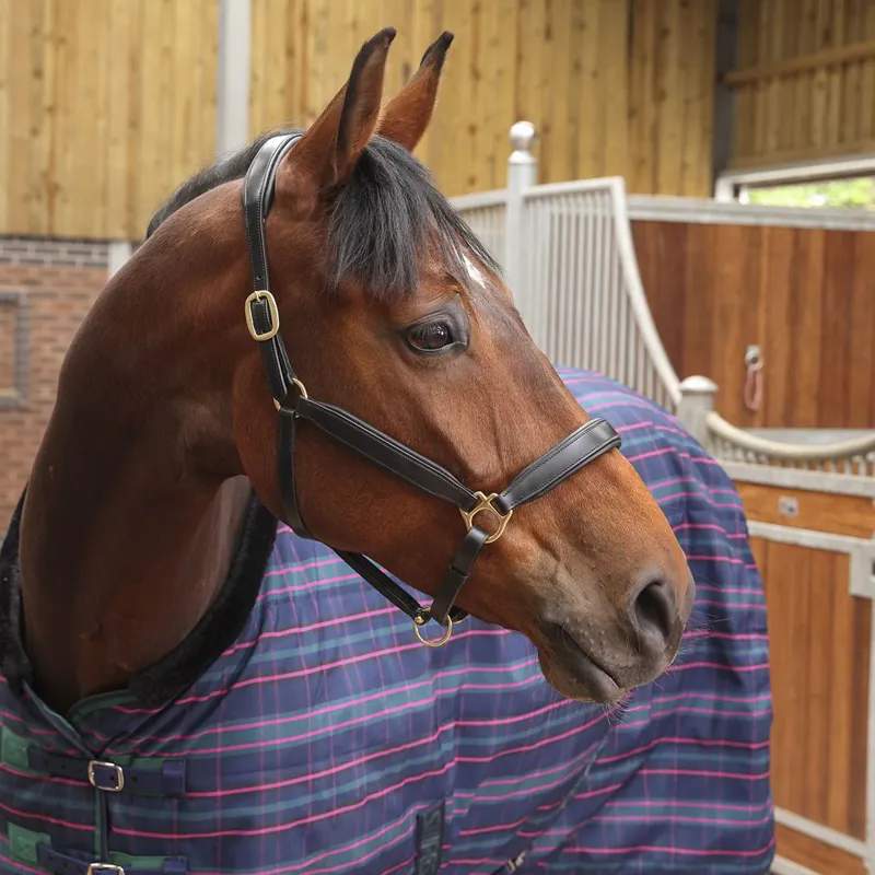 Shires Tempest Plus 100g Standard Neck Stable Blanket - Navy Tartan-2