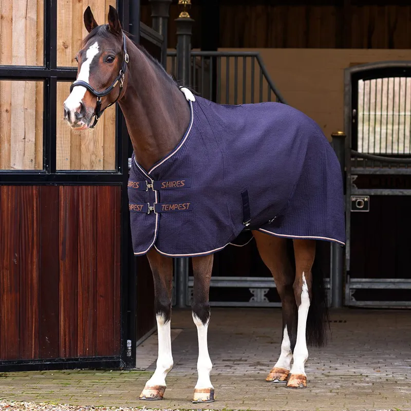 Shires Tempest Standard Neck Waffle Cooler - Navy