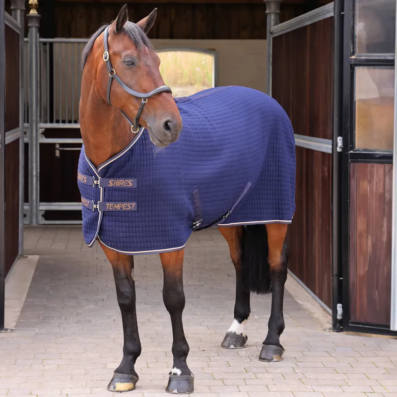 Shires Tempest Original Tech Cooler - Ink