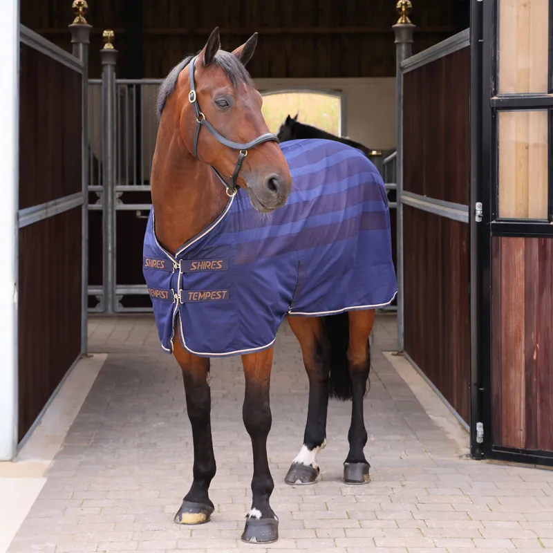 Shires Tempest Original Scrim Cooler - Ink