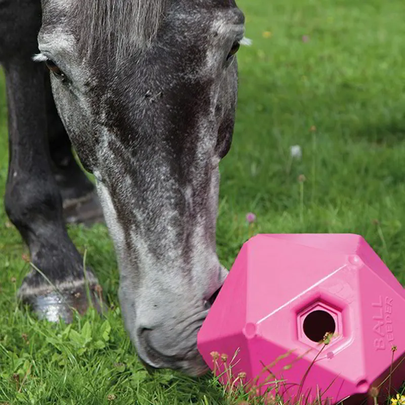 Shires Ball Feeder - Pink-2
