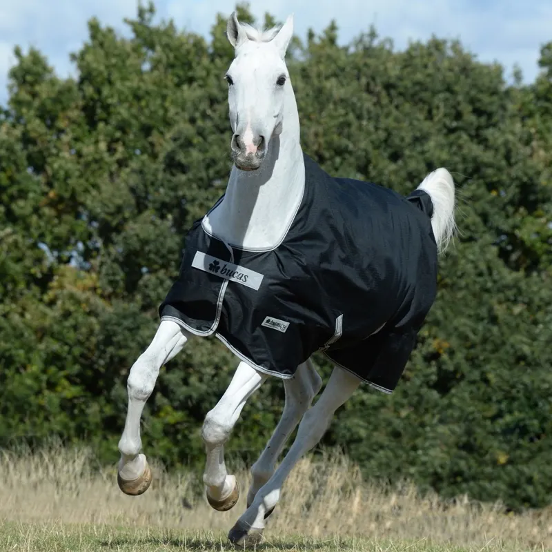 Bucas Anniversary 150g Standard Neck Turnout Blanket - Black-2