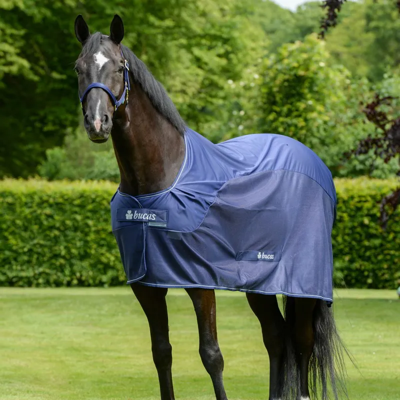 Bucas Competition Cooler - Navy-4