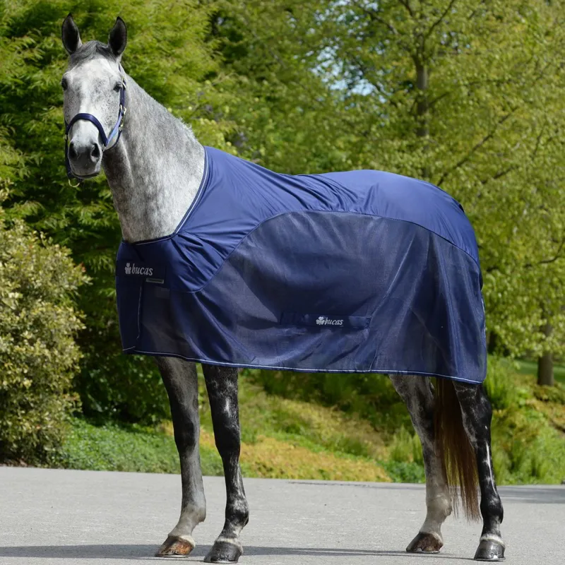 Bucas Competition Cooler - Navy-1