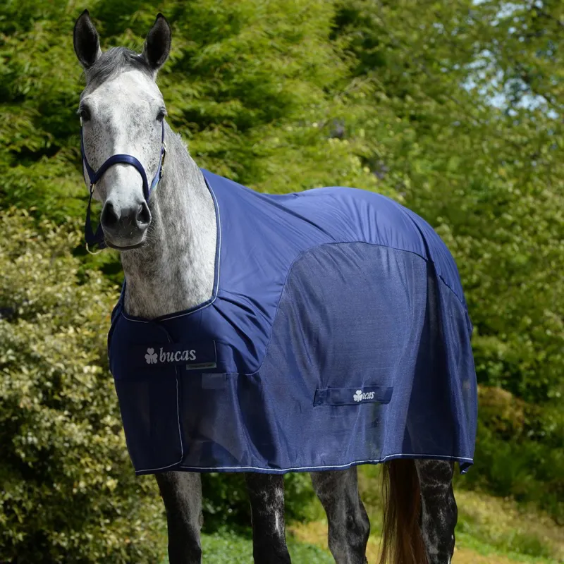 Bucas Competition Cooler - Navy-5
