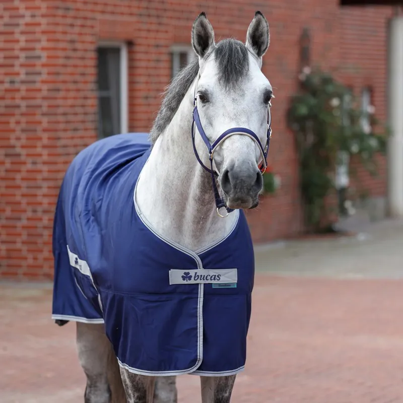 Bucas Freedom Twill Stable Sheet - Navy-4