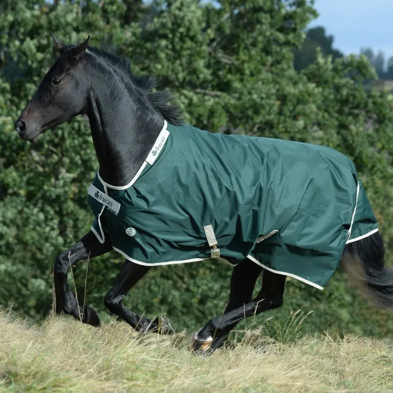 Bucas Green-Line 100g Standard Neck Turnout Blanket - Green/Cream-3