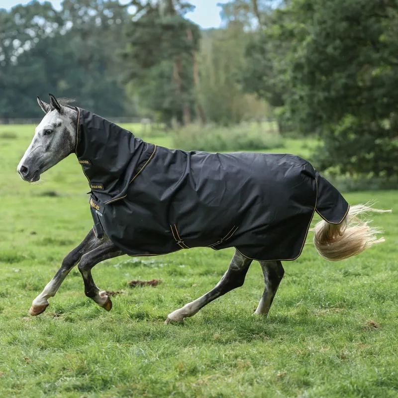 Bucas Irish 50g Detachable Neck Turnout Blanket - Black/Gold