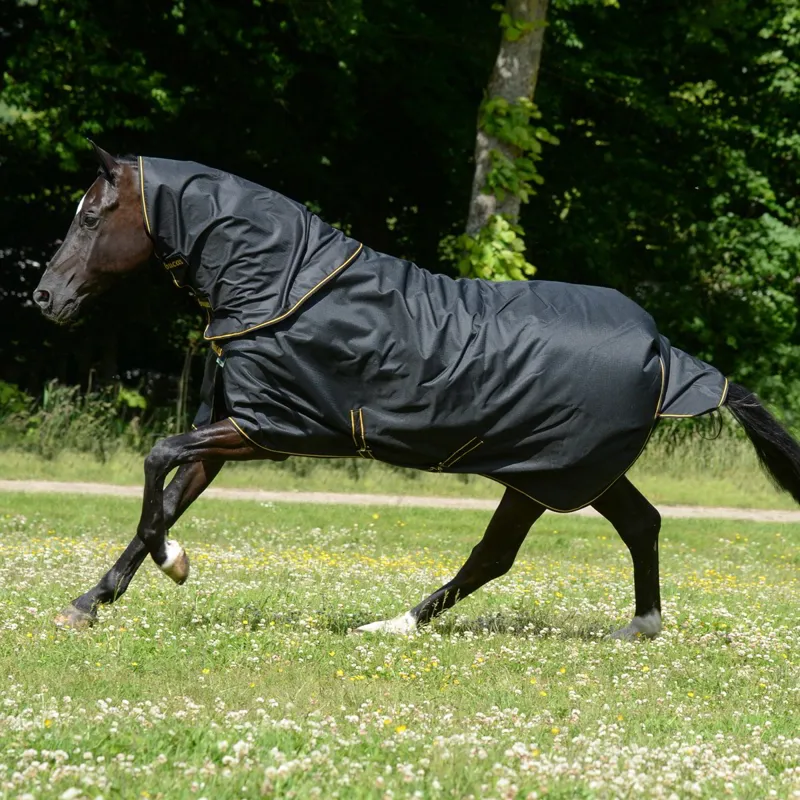 Bucas Irish 50g Detachable Neck Turnout Blanket - Black/Gold-3