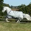 Bucas Power 150g Standard Neck Turnout Blanket - Silver