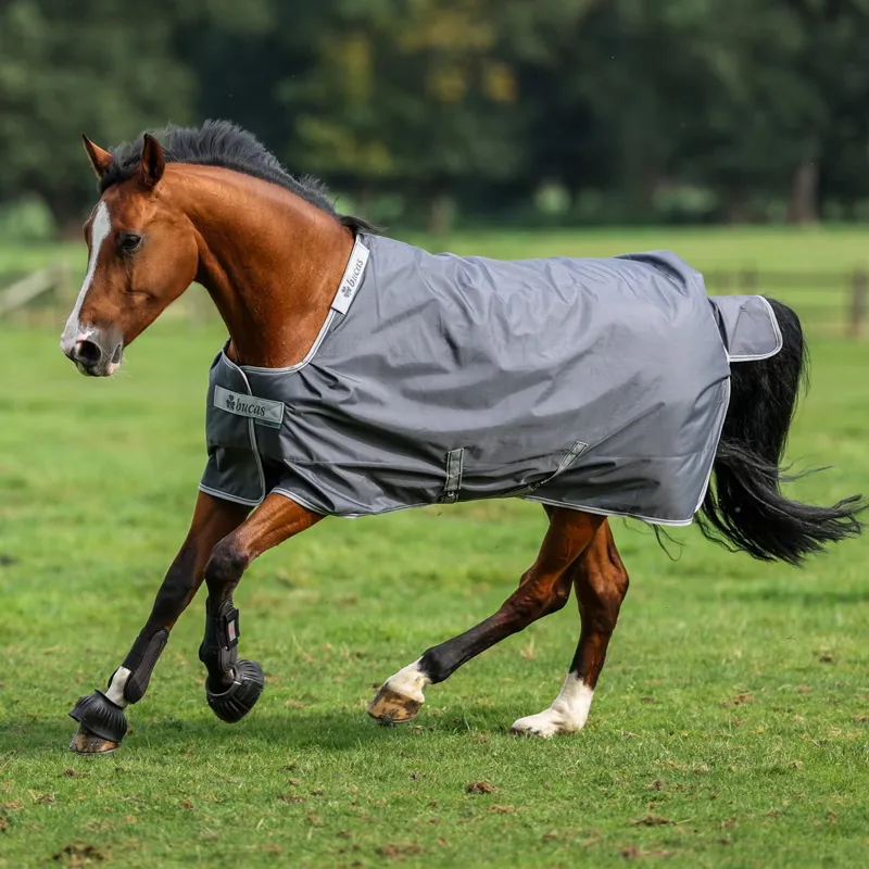 Bucas Smartex 150g Medium Standard Neck Turnout Blanket - Iron Gate