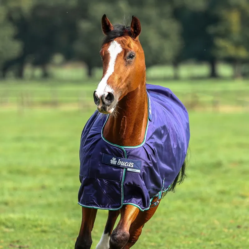Bucas Smartex 0g Rain Standard Neck Turnout Sheet - Blue-3