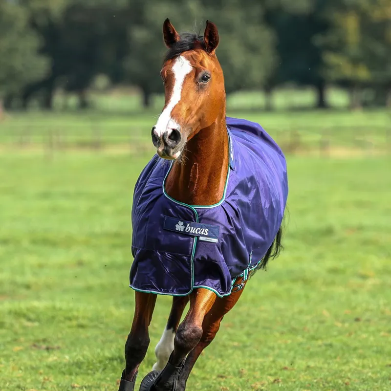 Bucas Smartex 300g Extra Standard Neck Turnout Blanket - Blue-1