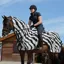 Bucas Buzz-Off Riding Sheet - Zebra Print
