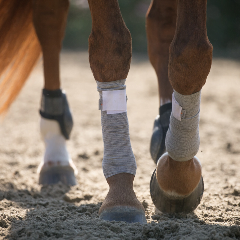 Incrediwear Equine Circulation Exercise Therapeutic Bandages - Grey