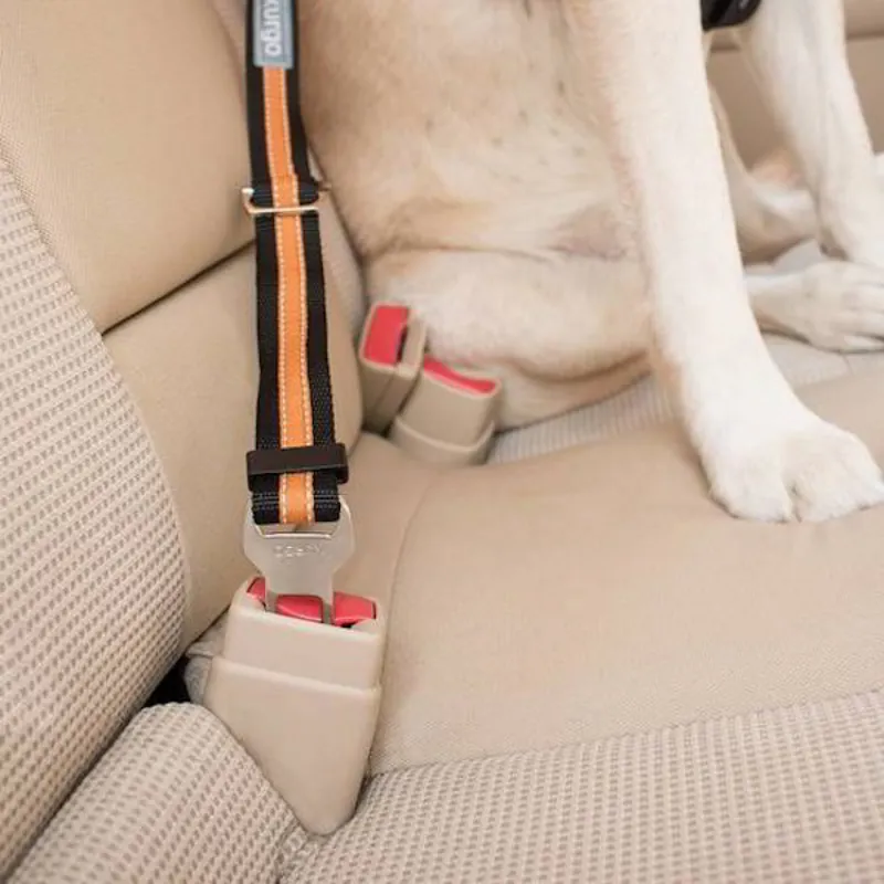 Kurgo Direct to Seatbelt Dog Tether - Black/Orange-2