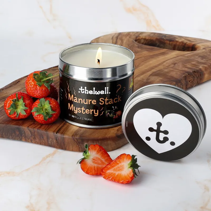 Hy Equestrian Thelwell Candle - Manure Stack Mystery-3
