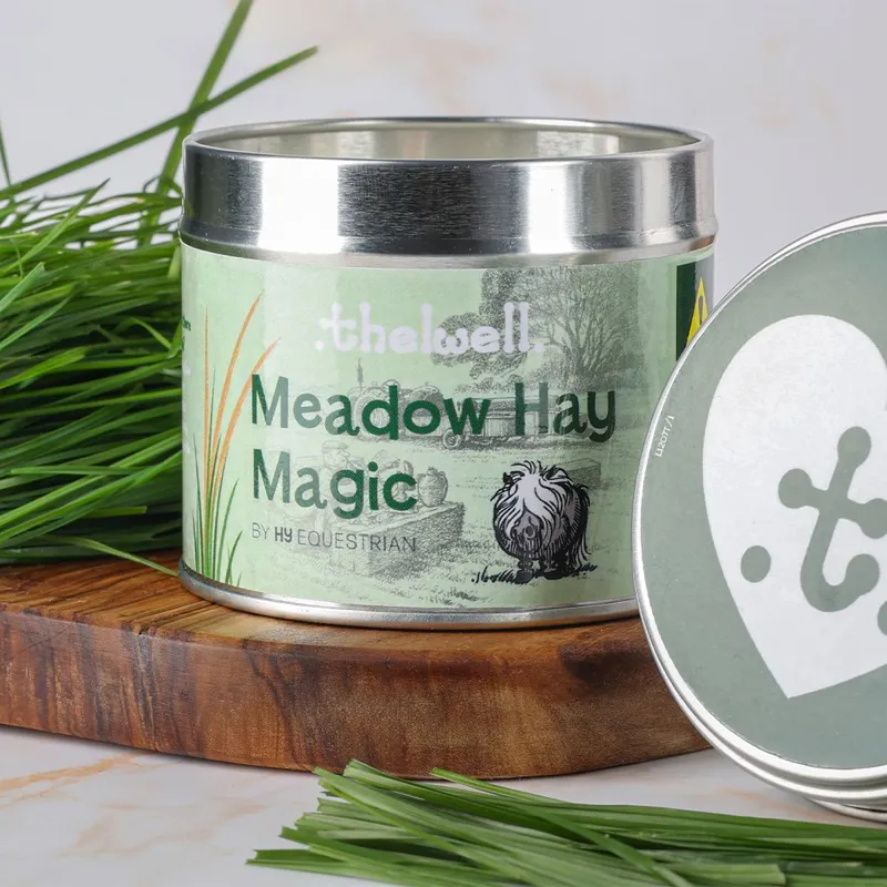 Hy Equestrian Thelwell Candle - Meadow Hay Magic-1