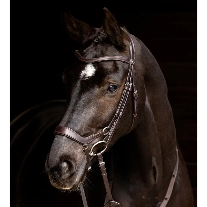 LeMieux Arika Drop Bridle - Brown/Silver-1