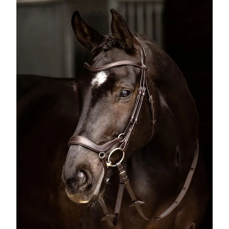 LeMieux Arika Drop Bridle - Brown/Silver-2