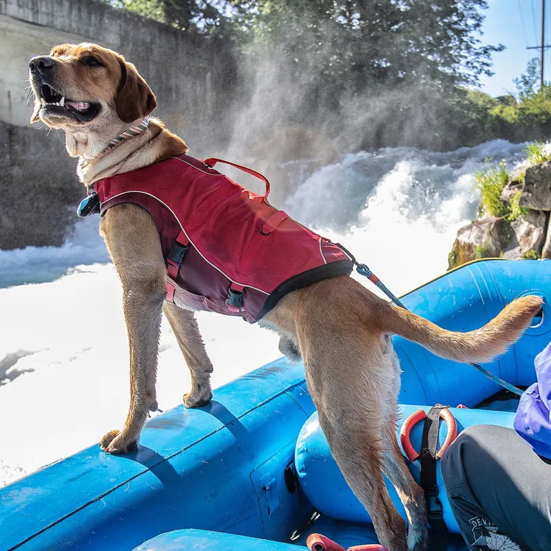 Kurgo Surf N Turf Dog Life Jacket - Red-1