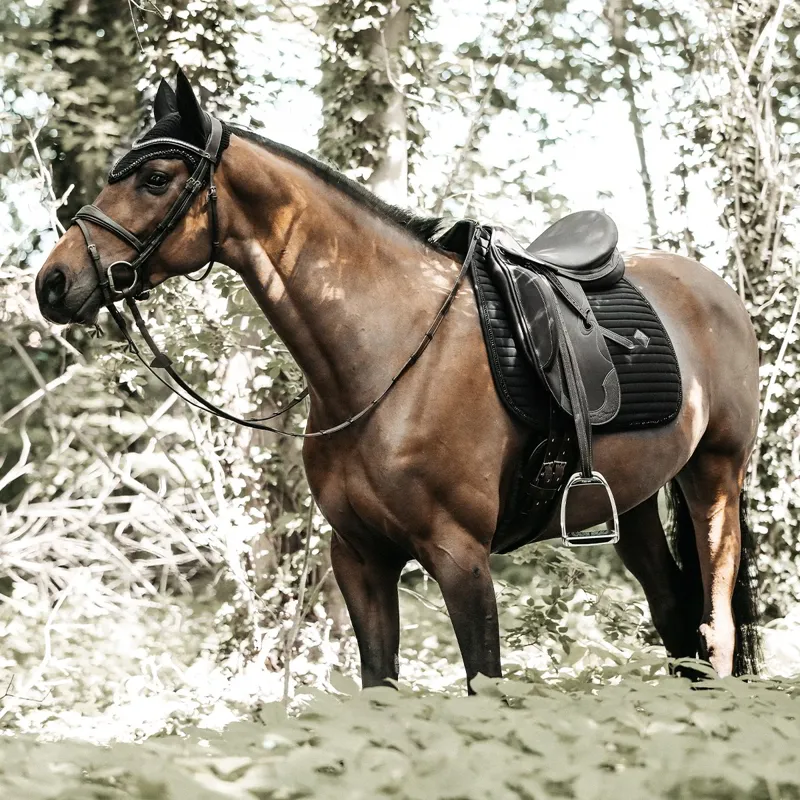 Kentucky Dressage Pearl Saddle Pad - Black-1