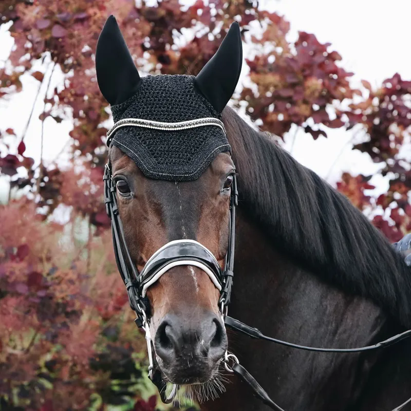 Kentucky Wellington Sparkling Soundless Ear Bonnet - Black-1